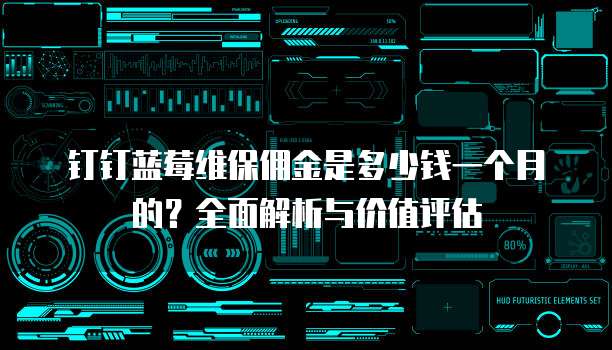 钉钉蓝莓维保佣金是多少钱一个月的?全面解析与价值评估