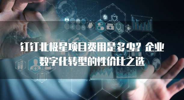 钉钉北极星项目费用是多少?企业数字化转型的性价比之选