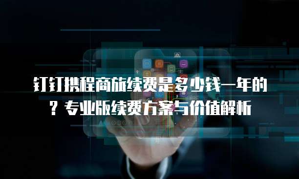 钉钉携程商旅续费是多少钱一年的?专业版续费方案与价值解析