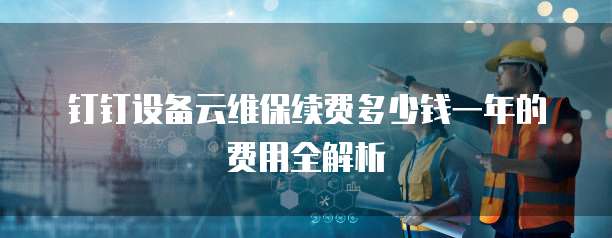 钉钉设备云维保续费多少钱一年的费用全解析