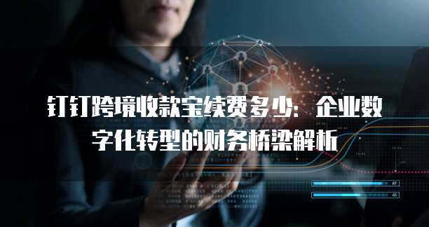 钉钉跨境收款宝续费多少:企业数字化转型的财务桥梁解析