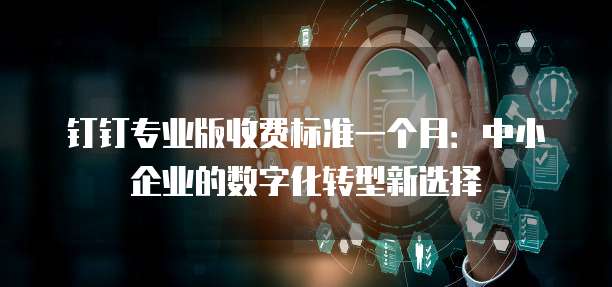 钉钉专业版收费标准一个月:中小企业的数字化转型新选择