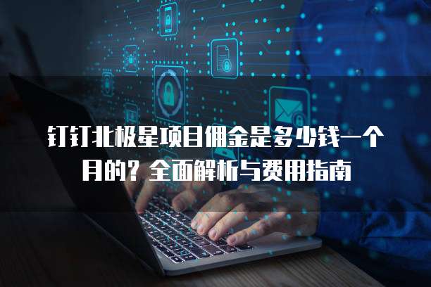 钉钉北极星项目佣金是多少钱一个月的?全面解析与费用指南