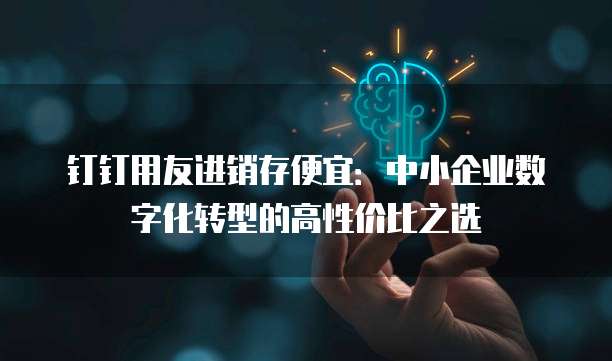 钉钉用友进销存便宜:中小企业数字化转型的高性价比之选