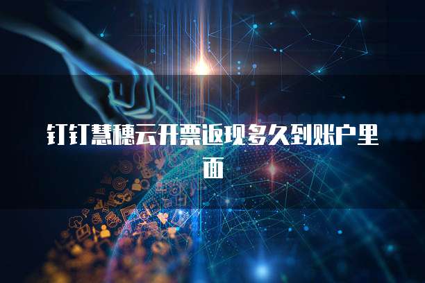 钉钉慧穗云开票返现多久到账户里面