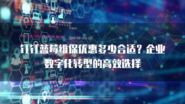 钉钉蓝莓维保优惠多少合适？企业数字化转型的高效选择