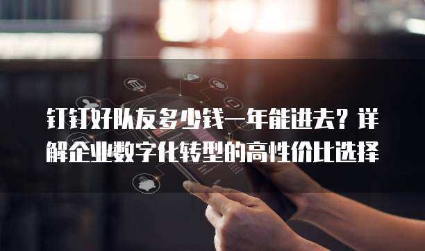 钉钉好队友多少钱一年能进去?详解企业数字化转型的高性价比选择