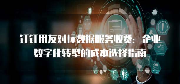 钉钉用友对标数据服务收费:企业数字化转型的成本选择指南
