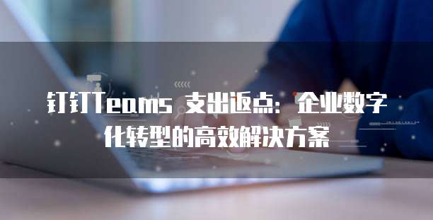 钉钉Teams 支出返点:企业数字化转型的高效解决方案