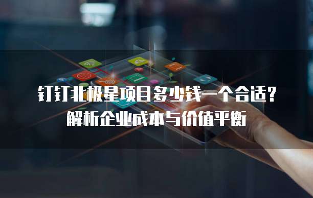 钉钉北极星项目多少钱一个合适？解析企业成本与价值平衡