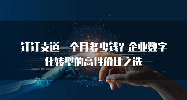 钉钉支道一个月多少钱?企业数字化转型的高性价比之选