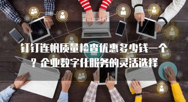 钉钉连帆质量检查优惠多少钱一个?企业数字化服务的灵活选择