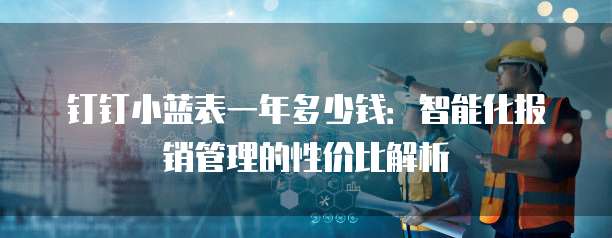 钉钉小蓝表一年多少钱:智能化报销管理的性价比解析