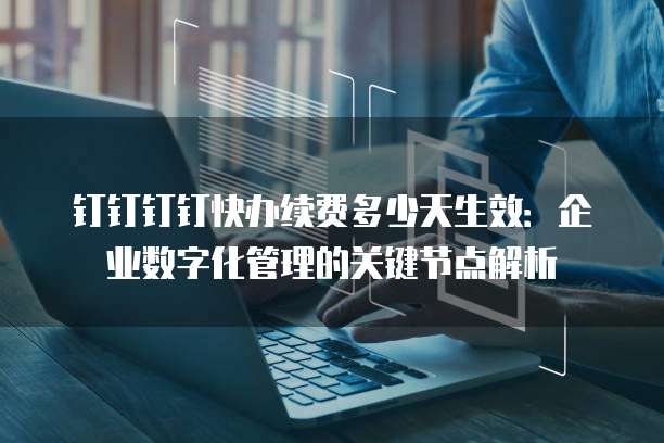 钉钉钉钉快办续费多少天生效:企业数字化管理的关键节点解析