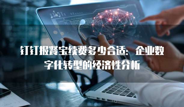 钉钉报餐宝续费多少合适:企业数字化转型的经济性分析