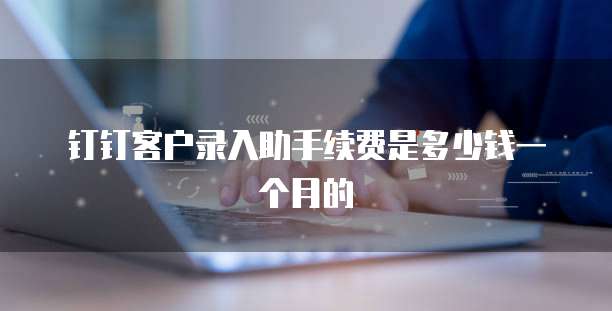 钉钉客户录入助手续费是多少钱一个月的
