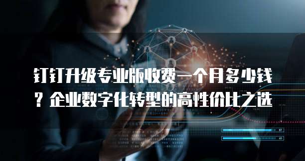 钉钉升级专业版收费一个月多少钱?企业数字化转型的高性价比之选