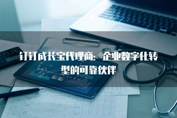 钉钉成长宝代理商：企业数字化转型的可靠伙伴