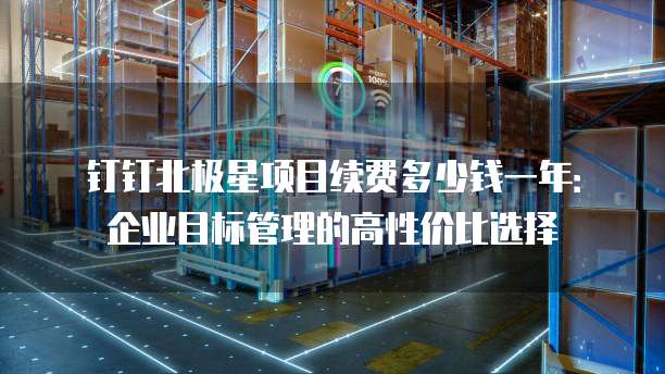 钉钉北极星项目续费多少钱一年:企业目标管理的高性价比选择