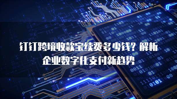 钉钉跨境收款宝续费多少钱?解析企业数字化支付新趋势