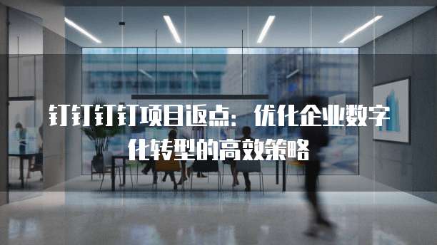 钉钉钉钉项目返点:优化企业数字化转型的高效策略