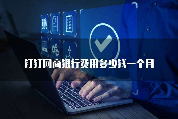 钉钉网商银行费用多少钱一个月