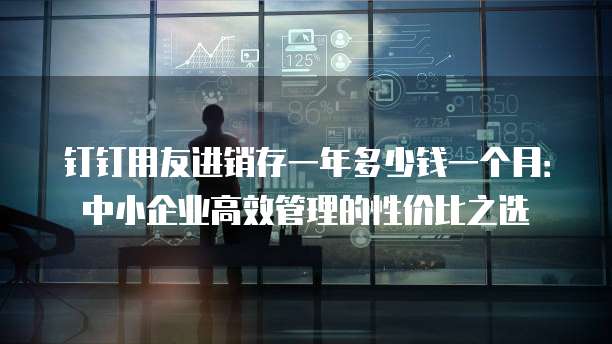 钉钉用友进销存一年多少钱一个月:中小企业高效管理的性价比之选