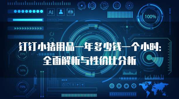 钉钉小猪用品一年多少钱一个小时:全面解析与性价比分析