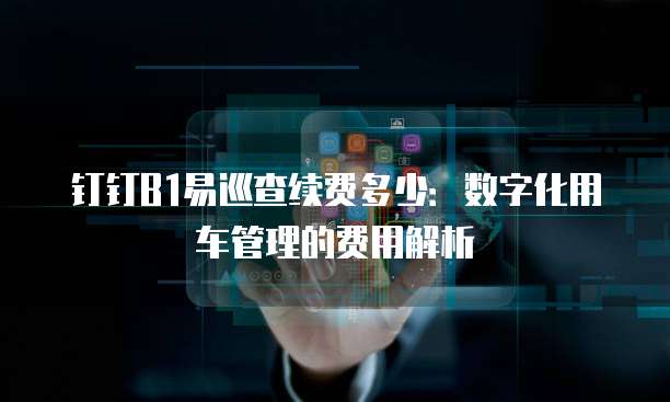 钉钉B1易巡查续费多少:数字化用车管理的费用解析