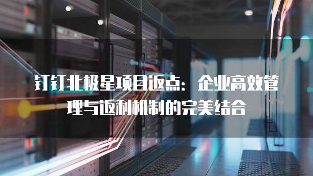 钉钉北极星项目返点:企业高效管理与返利机制的完美结合