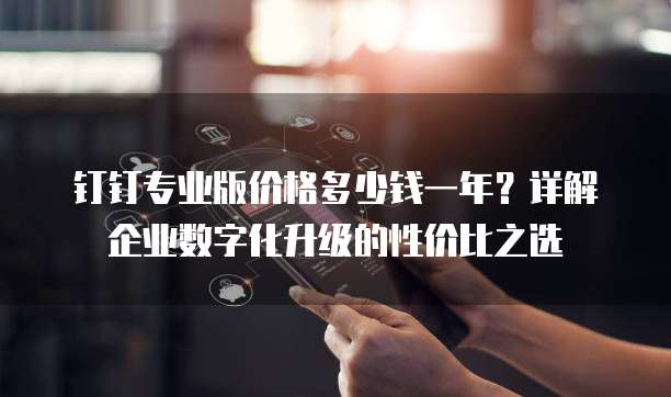 钉钉专业版价格多少钱一年？详解企业数字化升级的性价比之选