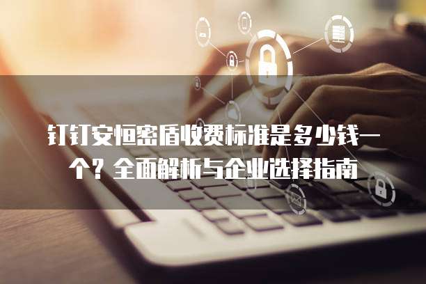 钉钉安恒密盾收费标准是多少钱一个?全面解析与企业选择指南