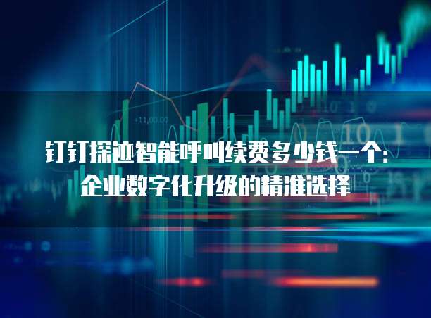 钉钉探迹智能呼叫续费多少钱一个:企业数字化升级的精准选择
