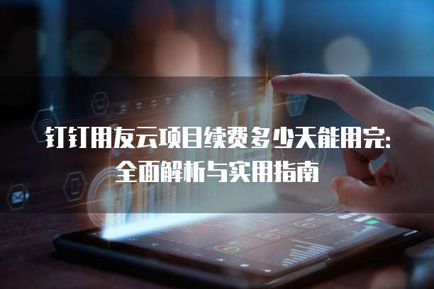 钉钉用友云项目续费多少天能用完:全面解析与实用指南