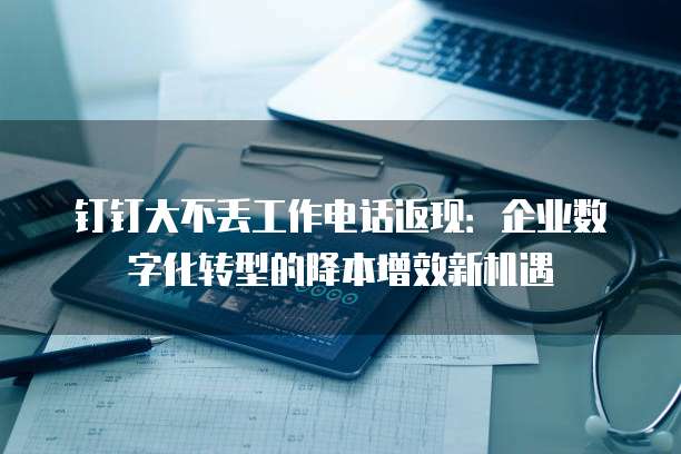 钉钉大不丢工作电话返现:企业数字化转型的降本增效新机遇