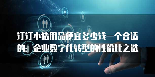 钉钉小猪用品便宜多少钱一个合适的:企业数字化转型的性价比之选