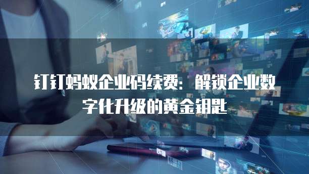 钉钉蚂蚁企业码续费:解锁企业数字化升级的黄金钥匙