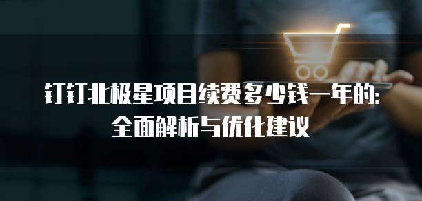 钉钉北极星项目续费多少钱一年的:全面解析与优化建议
