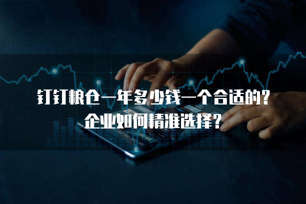 钉钉粮仓一年多少钱一个合适的?企业如何精准选择?