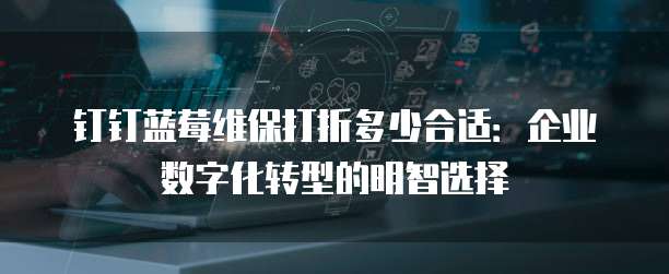 钉钉蓝莓维保打折多少合适:企业数字化转型的明智选择