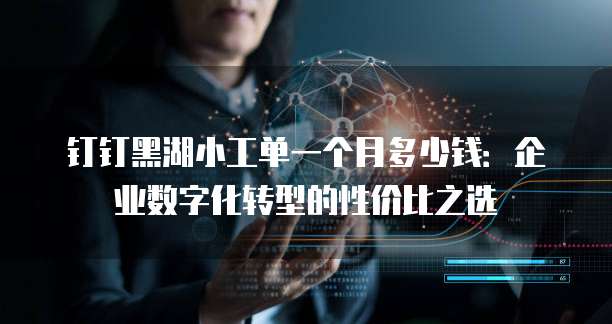 钉钉黑湖小工单一个月多少钱:企业数字化转型的性价比之选