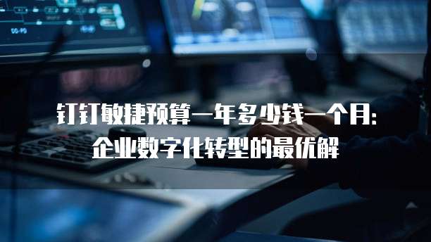 钉钉敏捷预算一年多少钱一个月:企业数字化转型的最优解