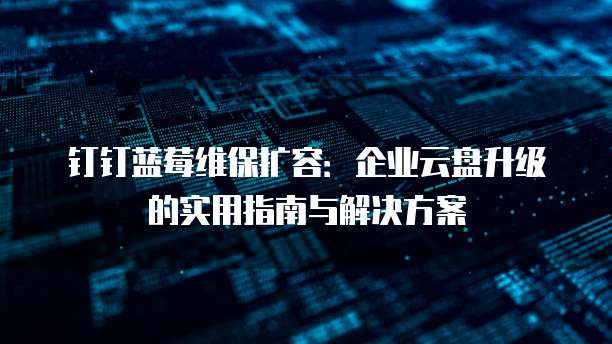 钉钉蓝莓维保扩容:企业云盘升级的实用指南与解决方案