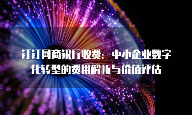 钉钉网商银行收费:中小企业数字化转型的费用解析与价值评估