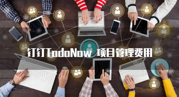 钉钉TodoNow 项目管理费用