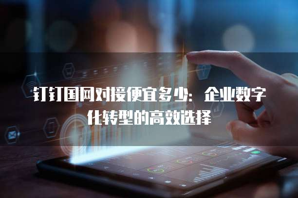 钉钉国网对接便宜多少:企业数字化转型的高效选择
