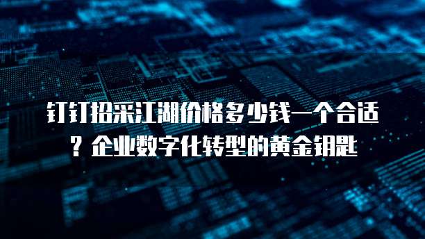 钉钉招采江湖价格多少钱一个合适?企业数字化转型的黄金钥匙