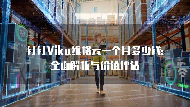 钉钉vika维格云一个月多少钱:全面解析与价值评估