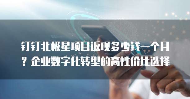 钉钉北极星项目返现多少钱一个月?企业数字化转型的高性价比选择