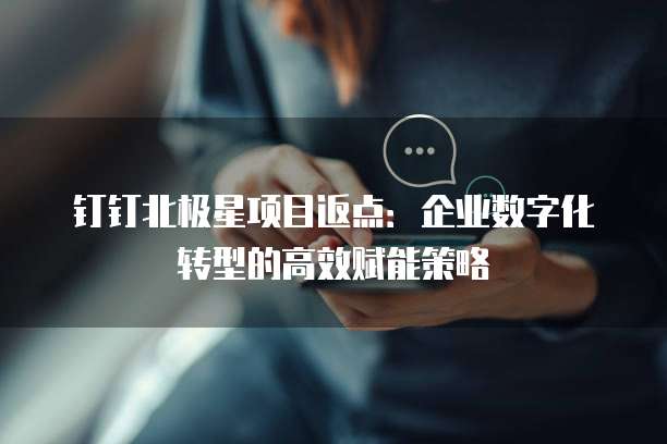 钉钉北极星项目返点:企业数字化转型的高效赋能策略